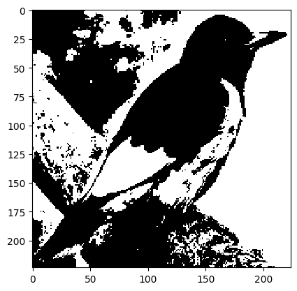 Woodpecker binary