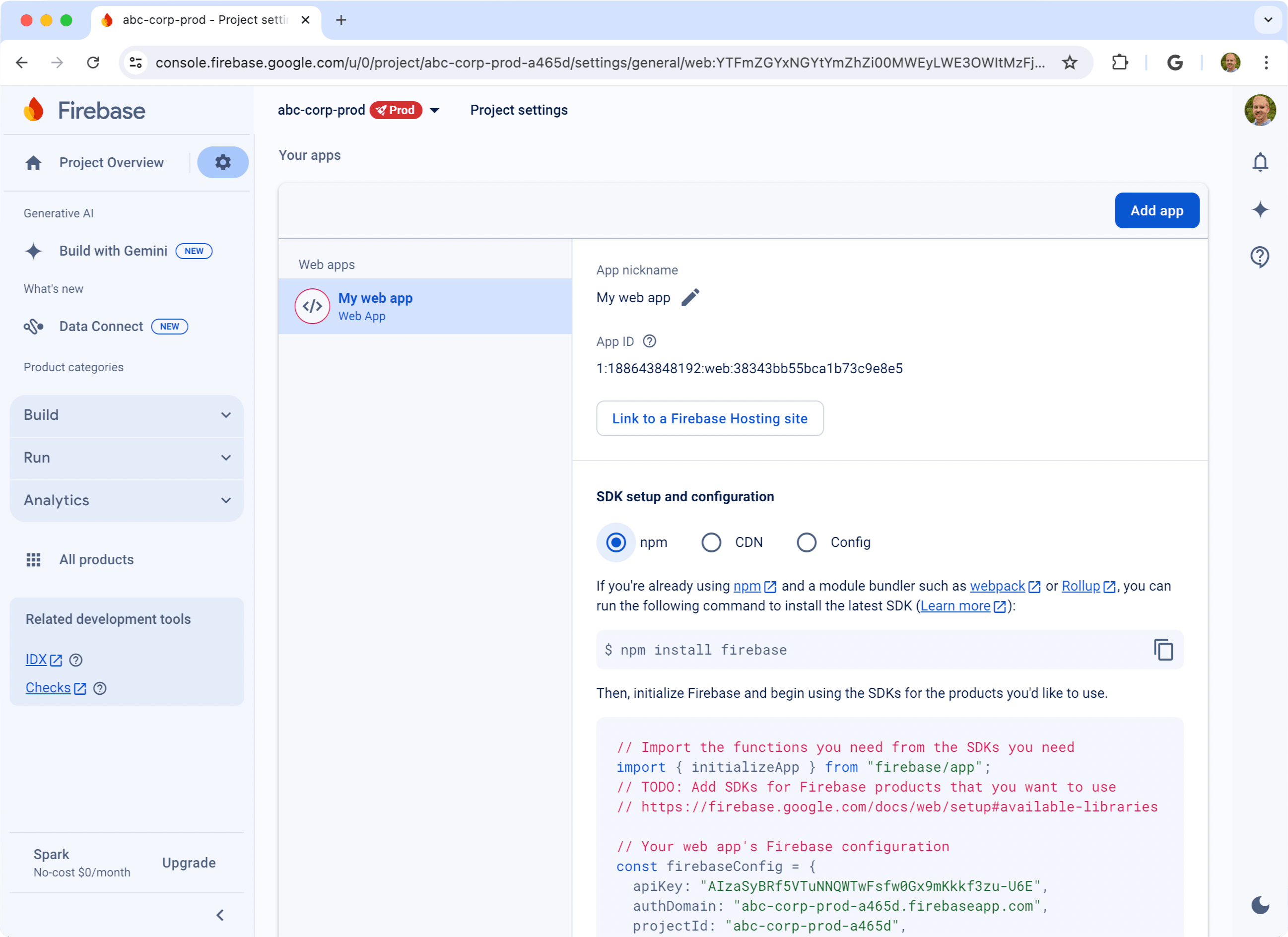 Firebase Web SDK config