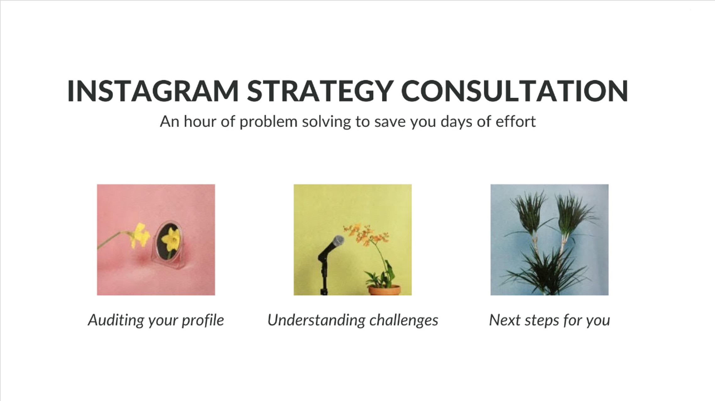 1:1 Instagram Strategy Consultation
