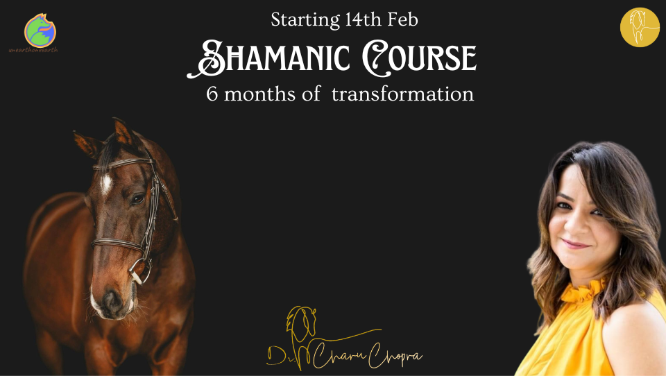 Shamanic Practitioner Course