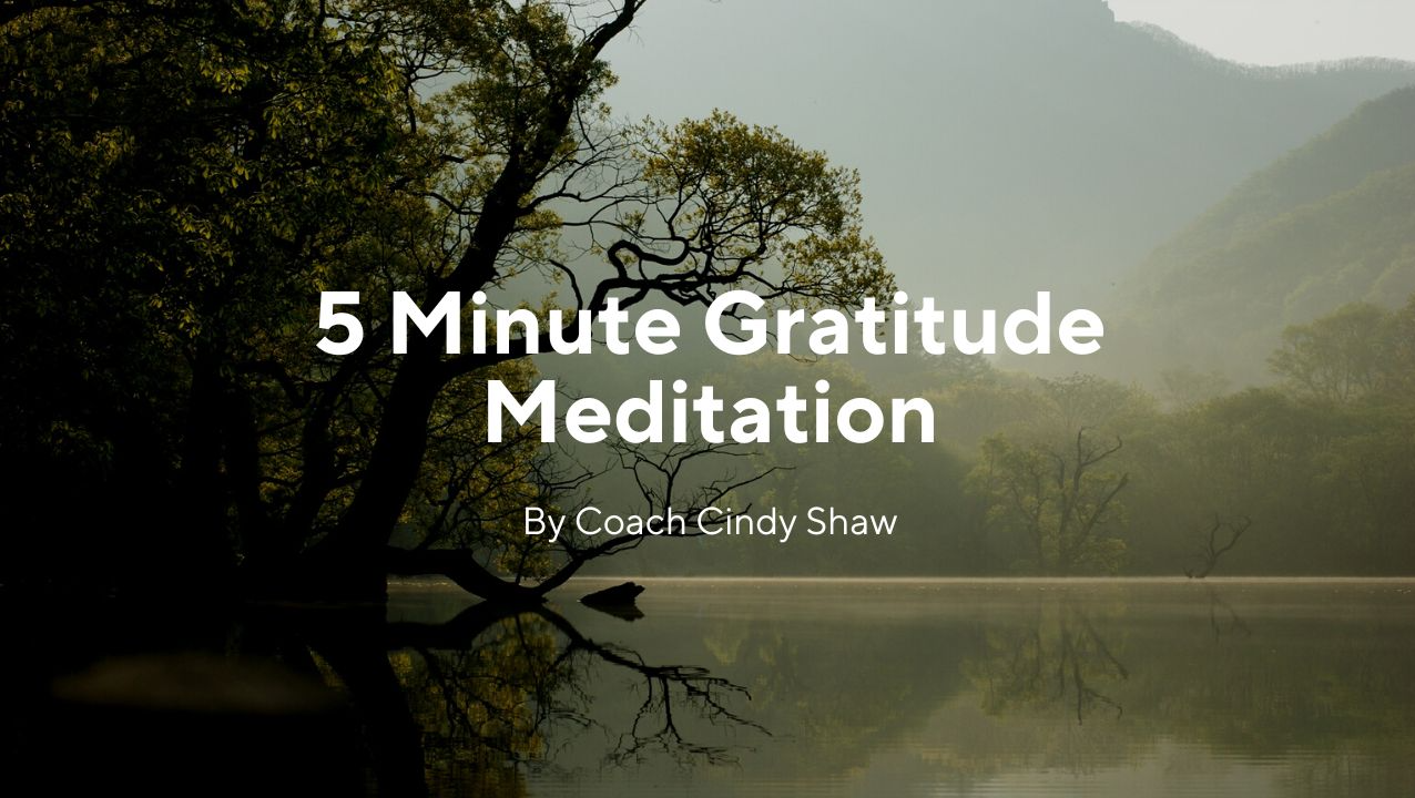 5 Minutes of Gratitude Guided Meditation