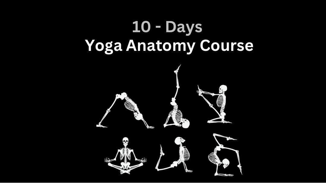 10-Days Yoga Anatomy Course 