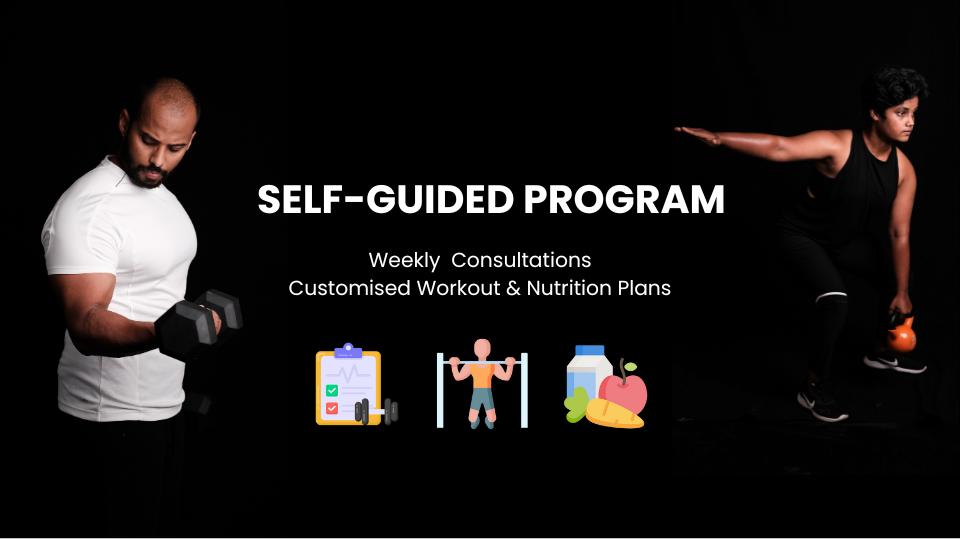 Self-Guided Program