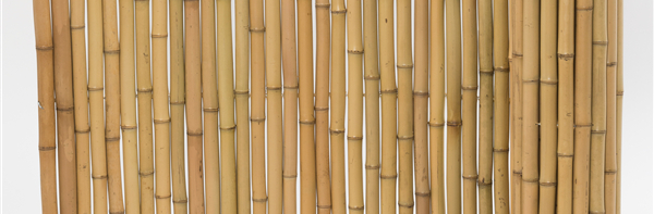Eco‑Friendly Households Are Switching to Bamboo Straws—Here’s Why