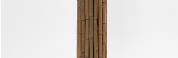 The Rise of Bamboo Packaging: A Better Alternative to Plastic