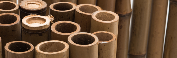 Bamboo Planters: A Natural Look for Modern Landscaping