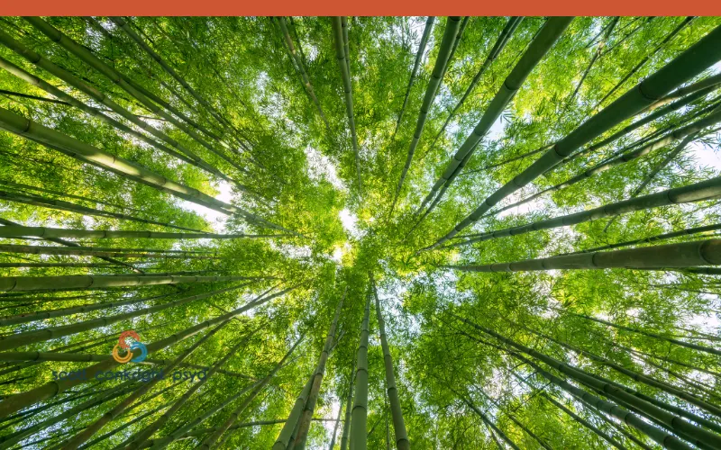 The Biological Basis of Affect