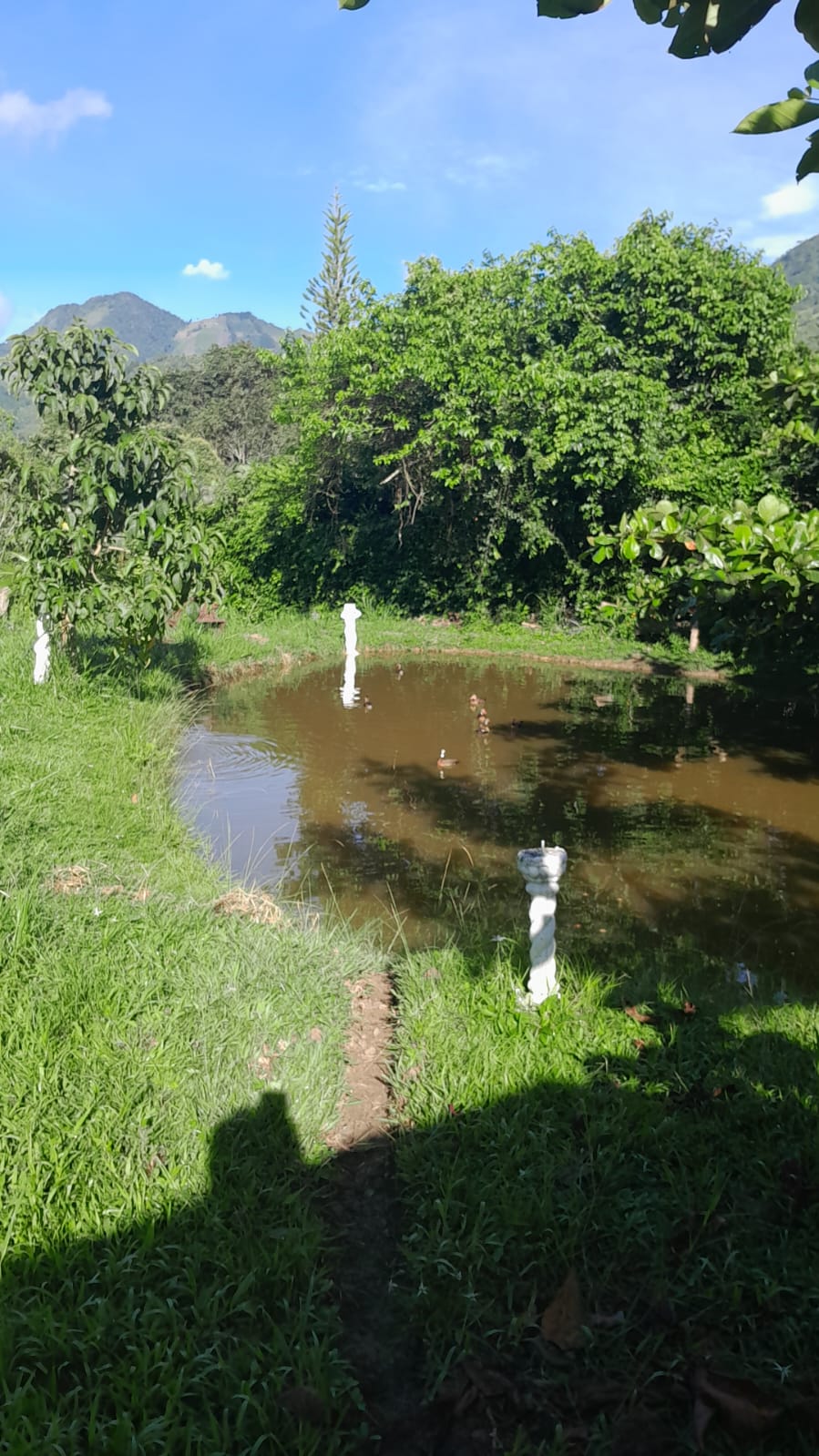 GRAN CASA QUINTA VILLETA CUNDINAMARCA — Foto 4