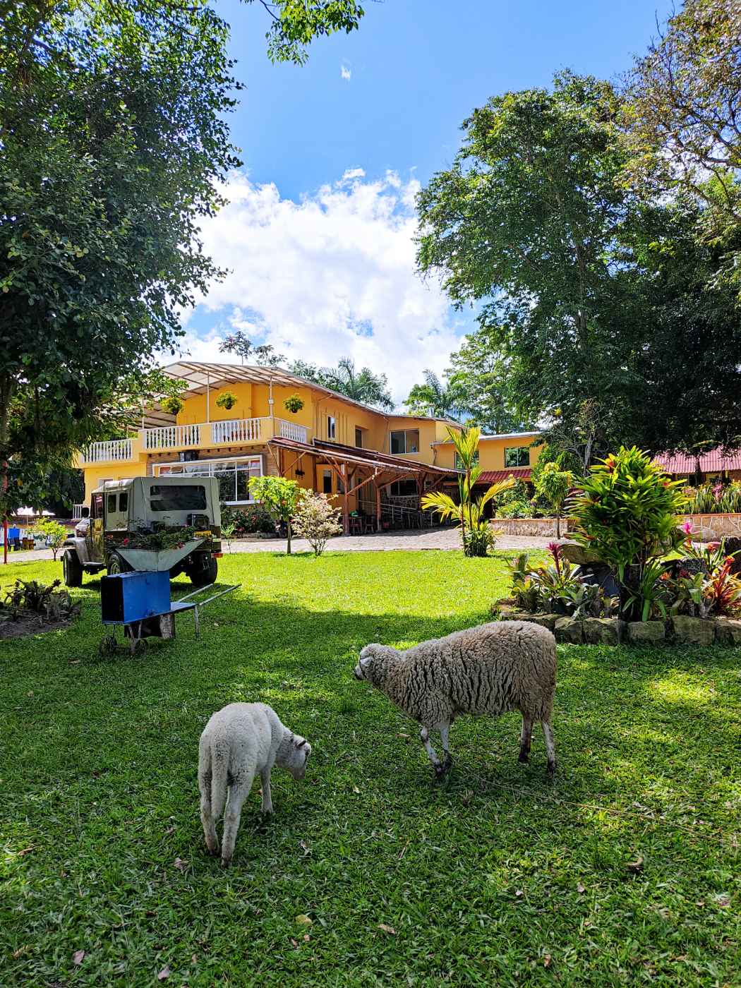 Magico Hotel Campestre en Fusagasuga 