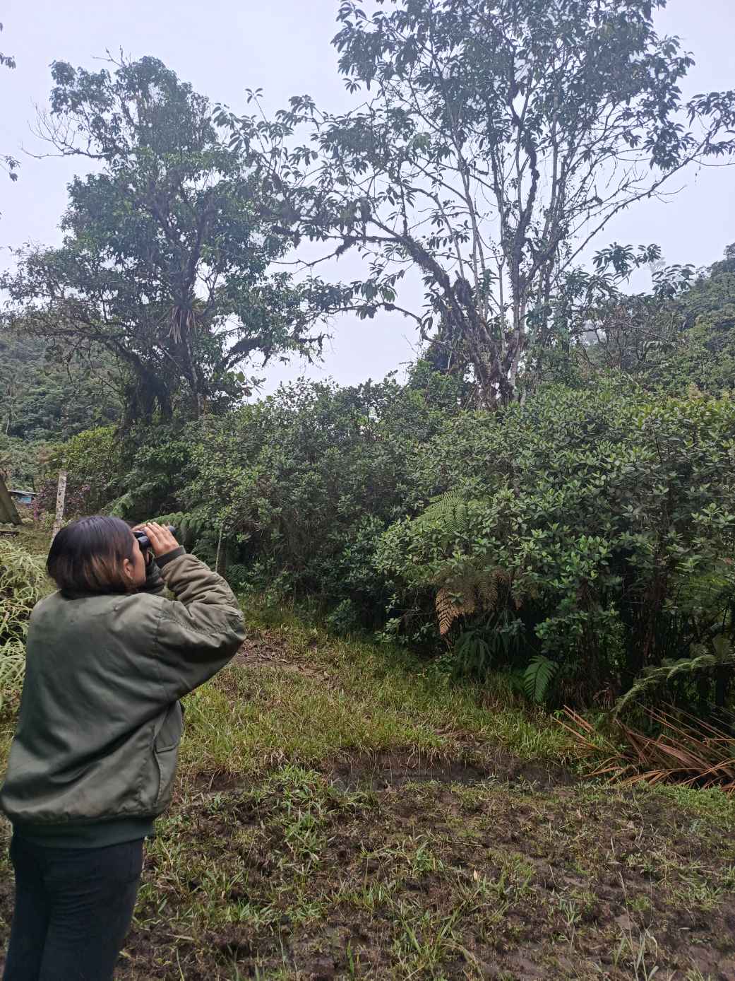 Finca ecoturistica — Foto 4