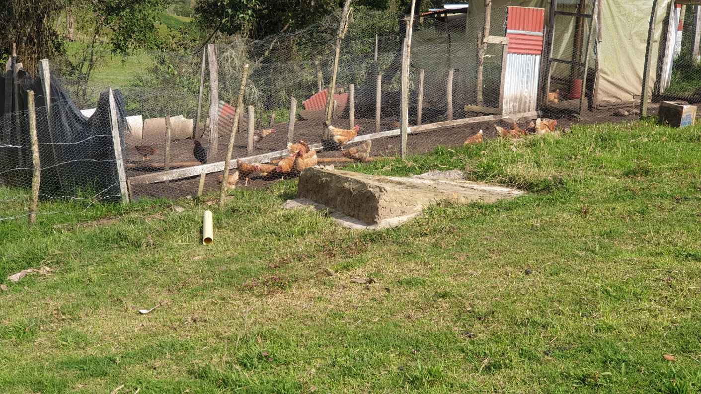 Finca Familiar con Quebrada — Foto 3