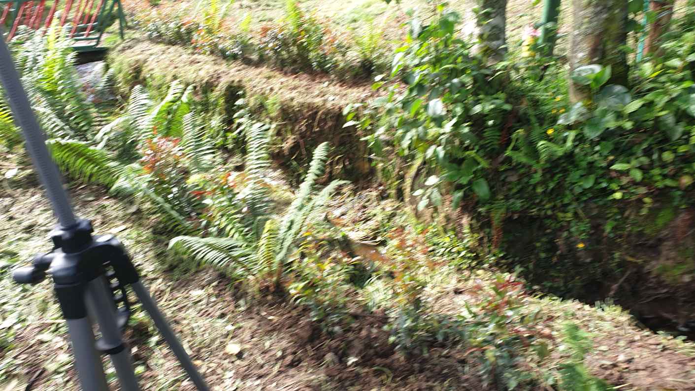 Finca Familiar con Quebrada — Foto 4