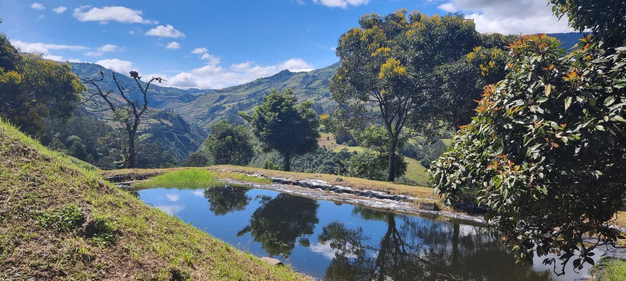Hacemos más que café, hacemos sueños realidad — Foto 5