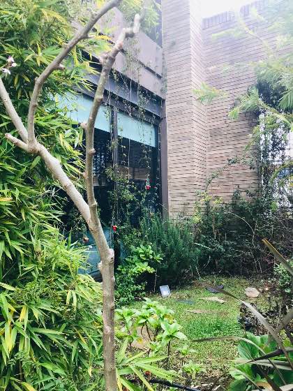 Magnifico PH con jardin natural interior — Foto 3
