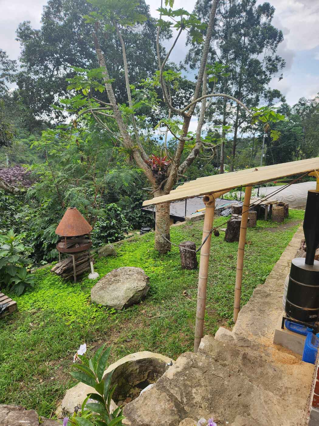 ¡Finca cafetera a las afueras de Bogotá! — Foto 3