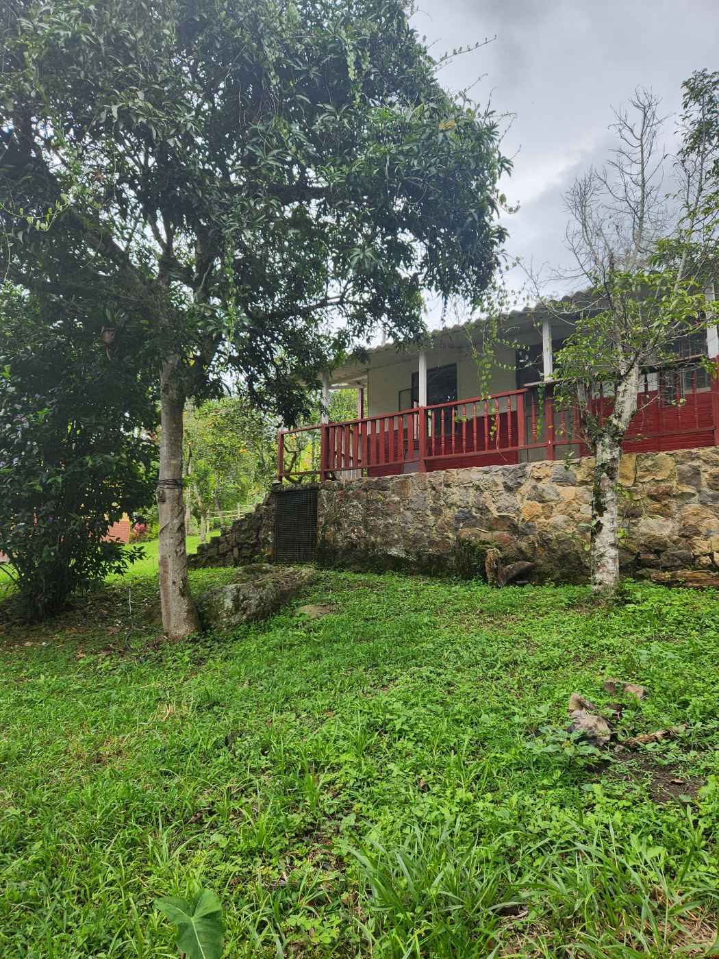 ¡Finca cafetera a las afueras de Bogotá! — Foto 4