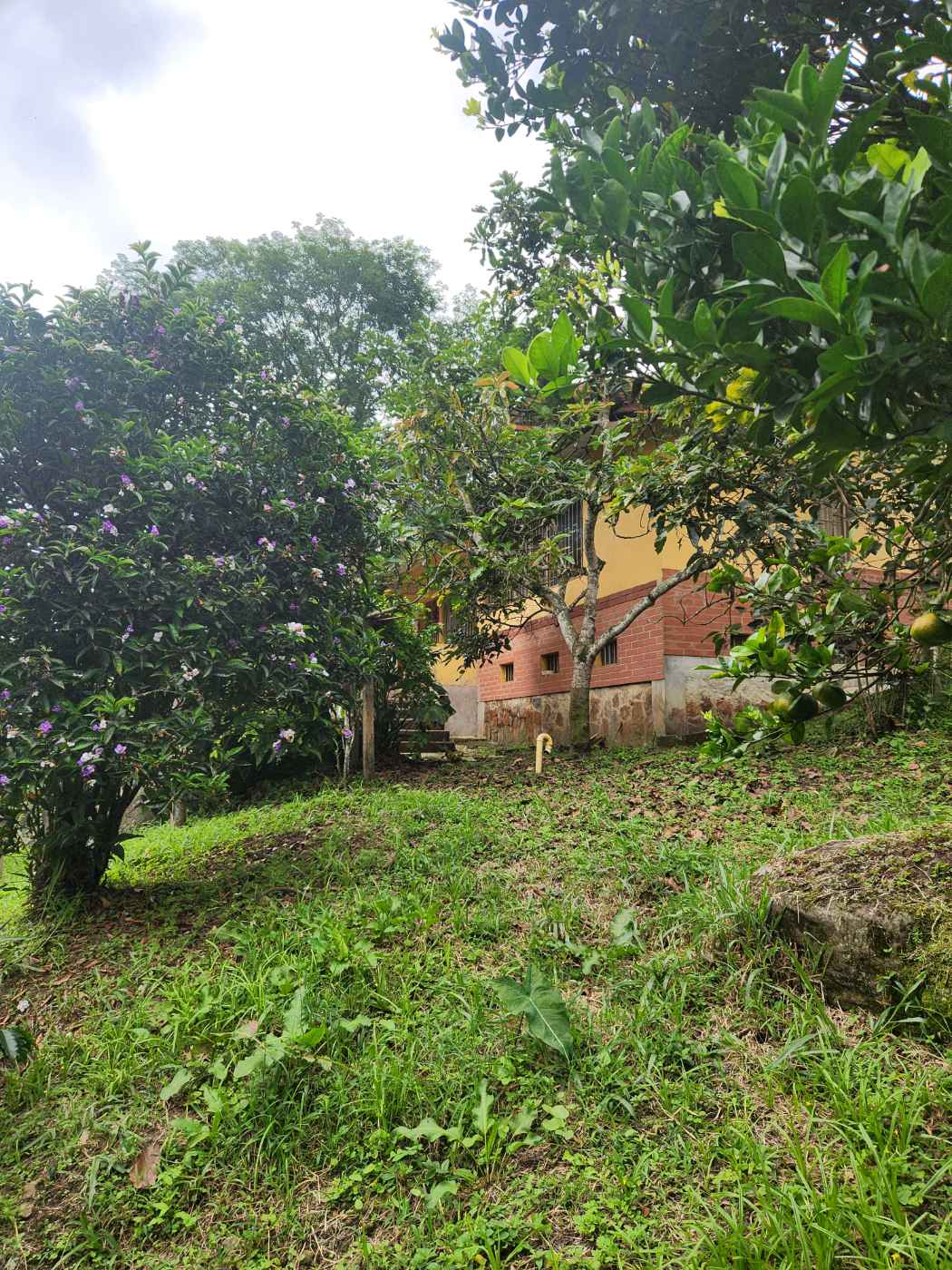 ¡Finca cafetera a las afueras de Bogotá! — Foto 2