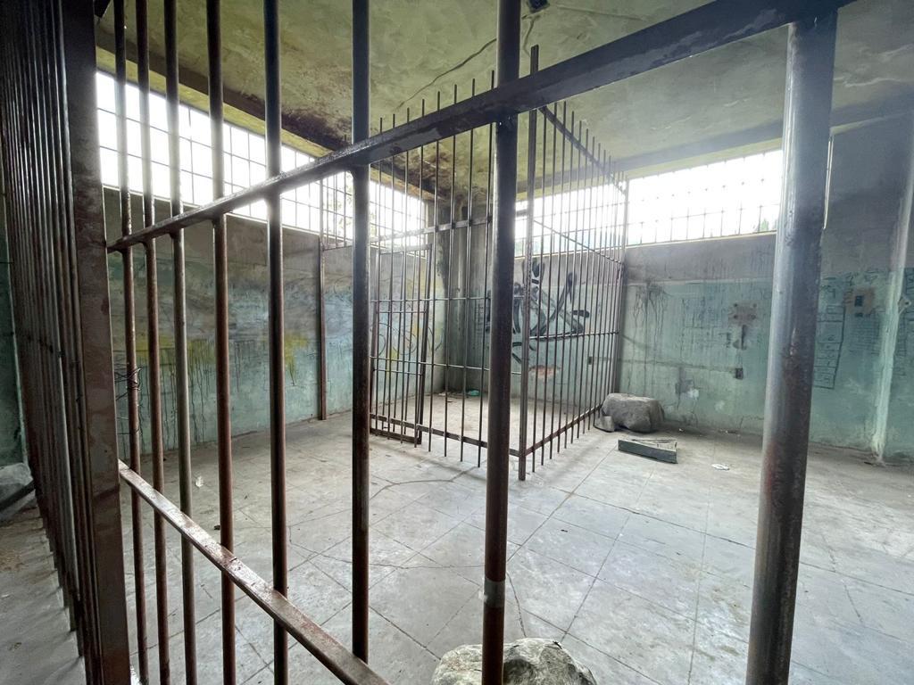 Las mejores ruinas sin salir de Bogotá — Foto 4