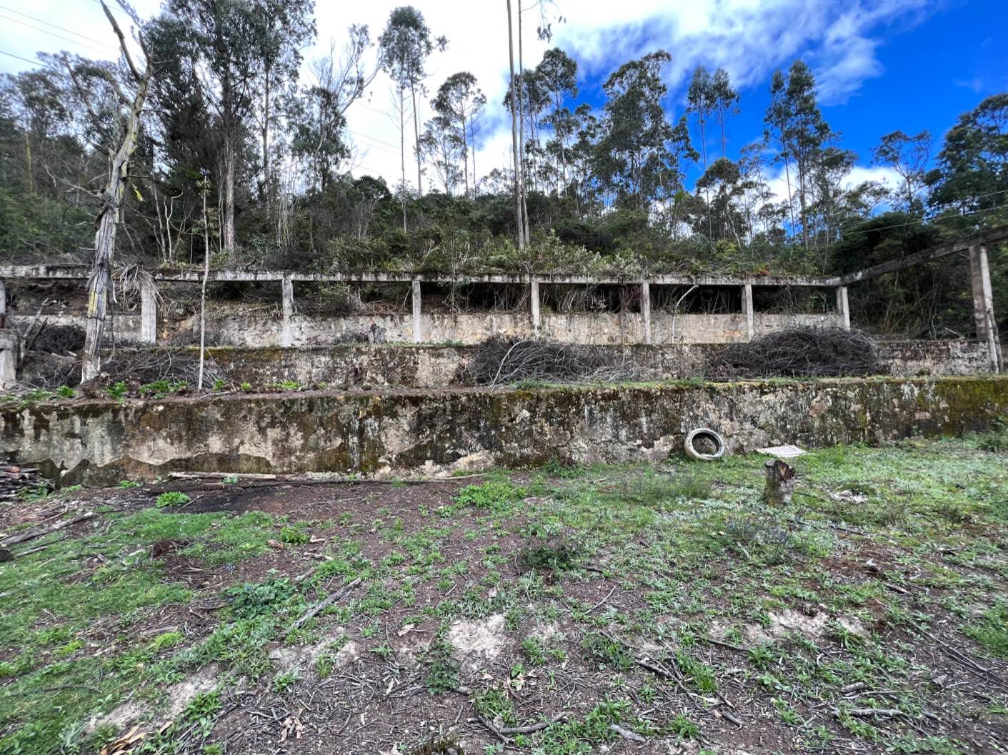 Ruinas al aire libre en Bogotá