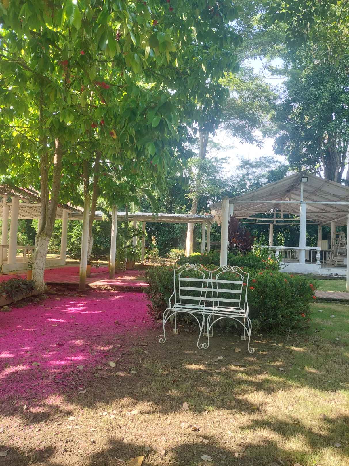 Espectacular casa finca en Cerete Córdoba — Foto 5