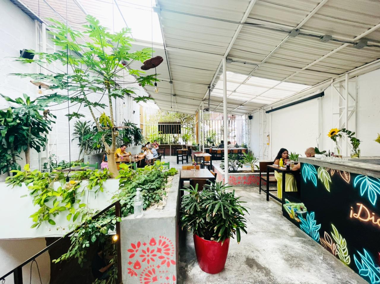Maravilloso y moderno restaurante 