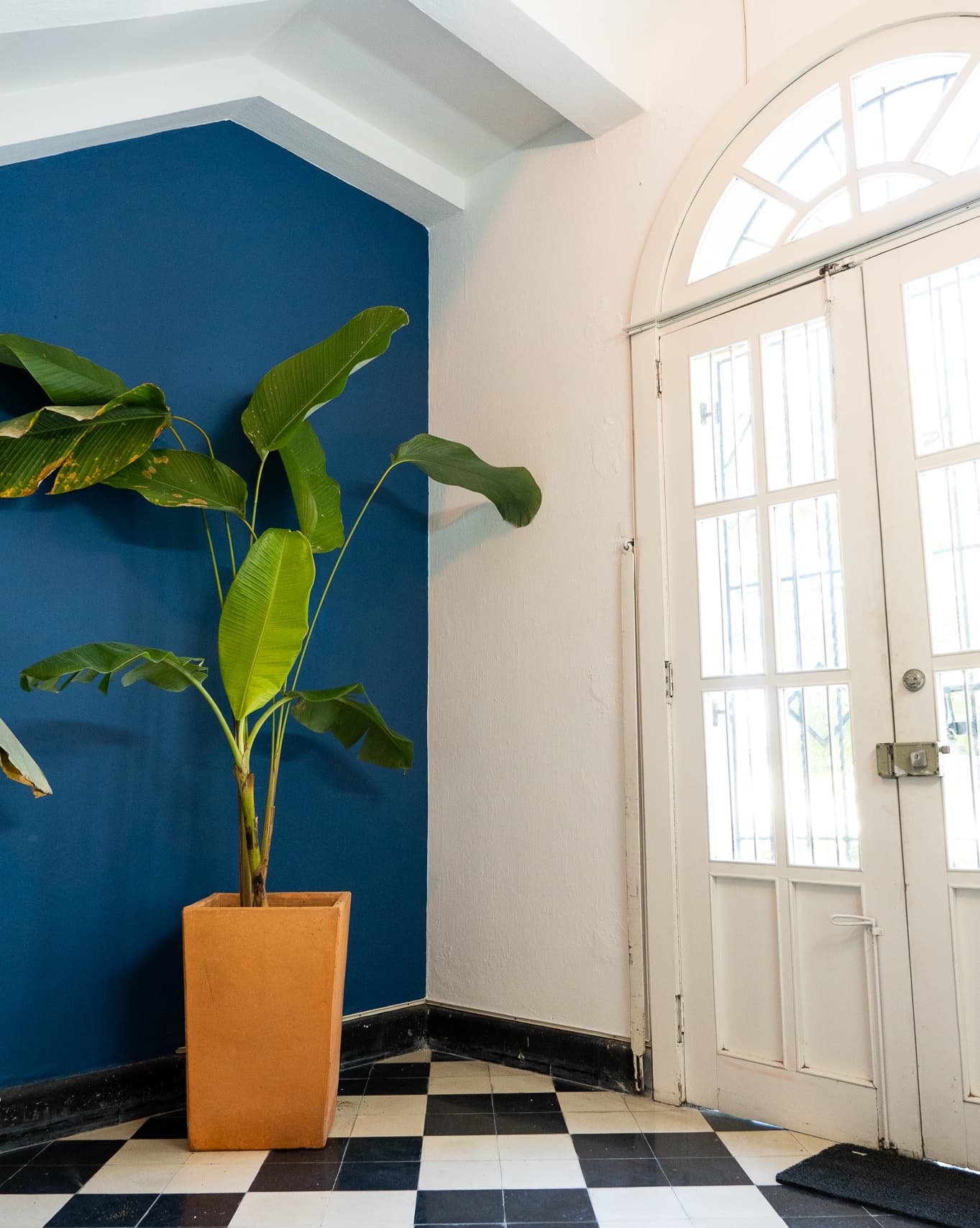 Estudio fotografico en antigua casa clasica — Foto 3