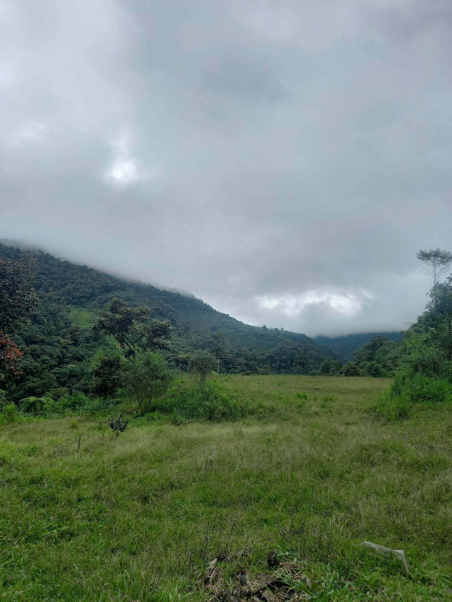 VEN Y CONECTATE CON LA NATURALEZA — Foto 5
