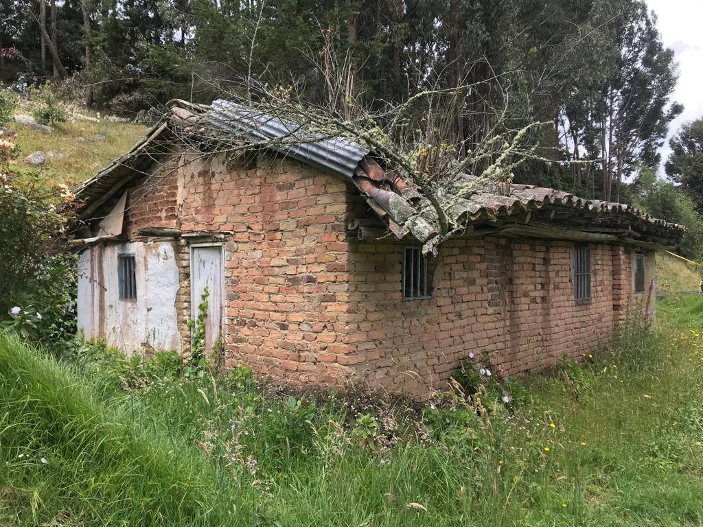 Oasis de los bisabuelos en medio de las montañas — Foto 2