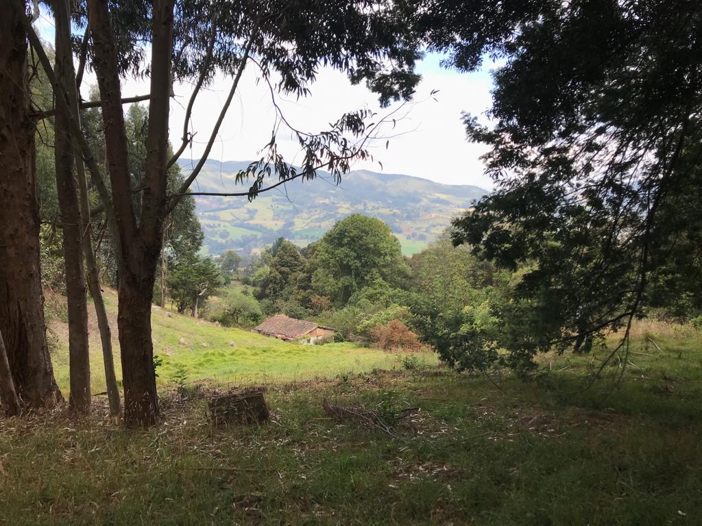Oasis de los bisabuelos en medio de las montañas