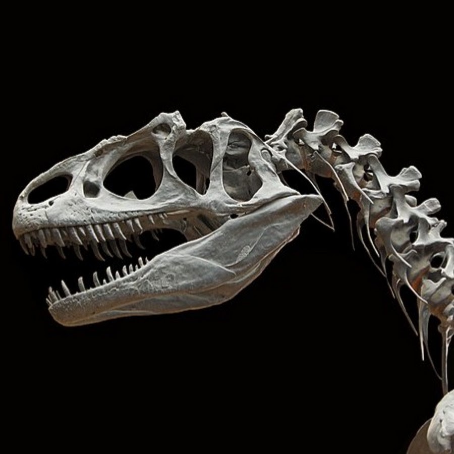 ExtinctZoo 