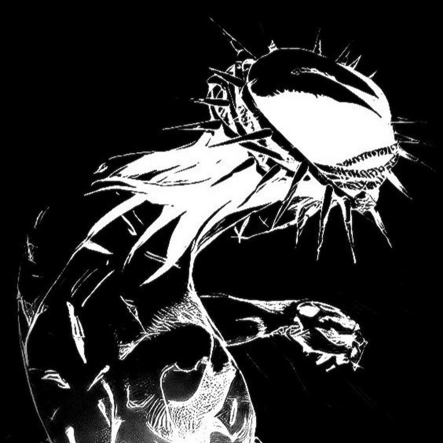 Spirit