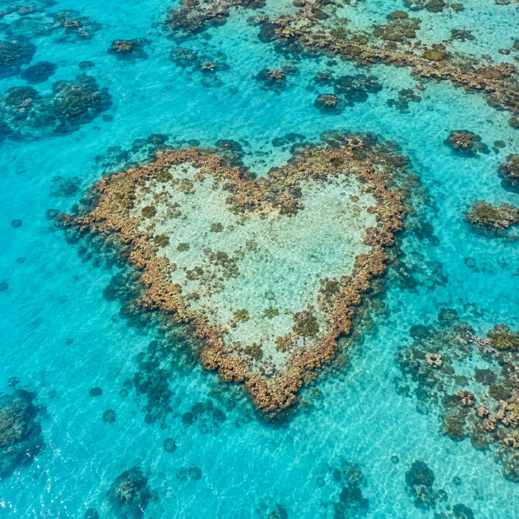 Heart Reef