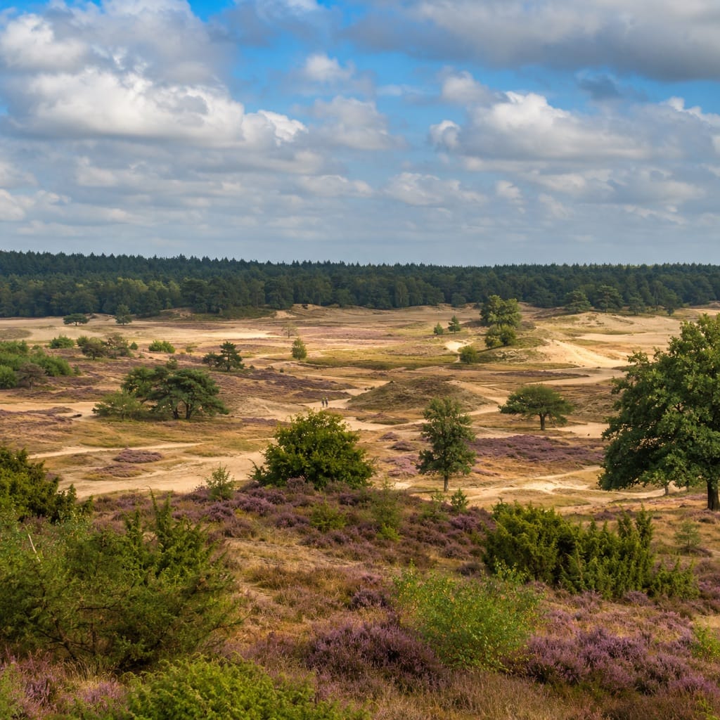 Hoge Veluwe National Park