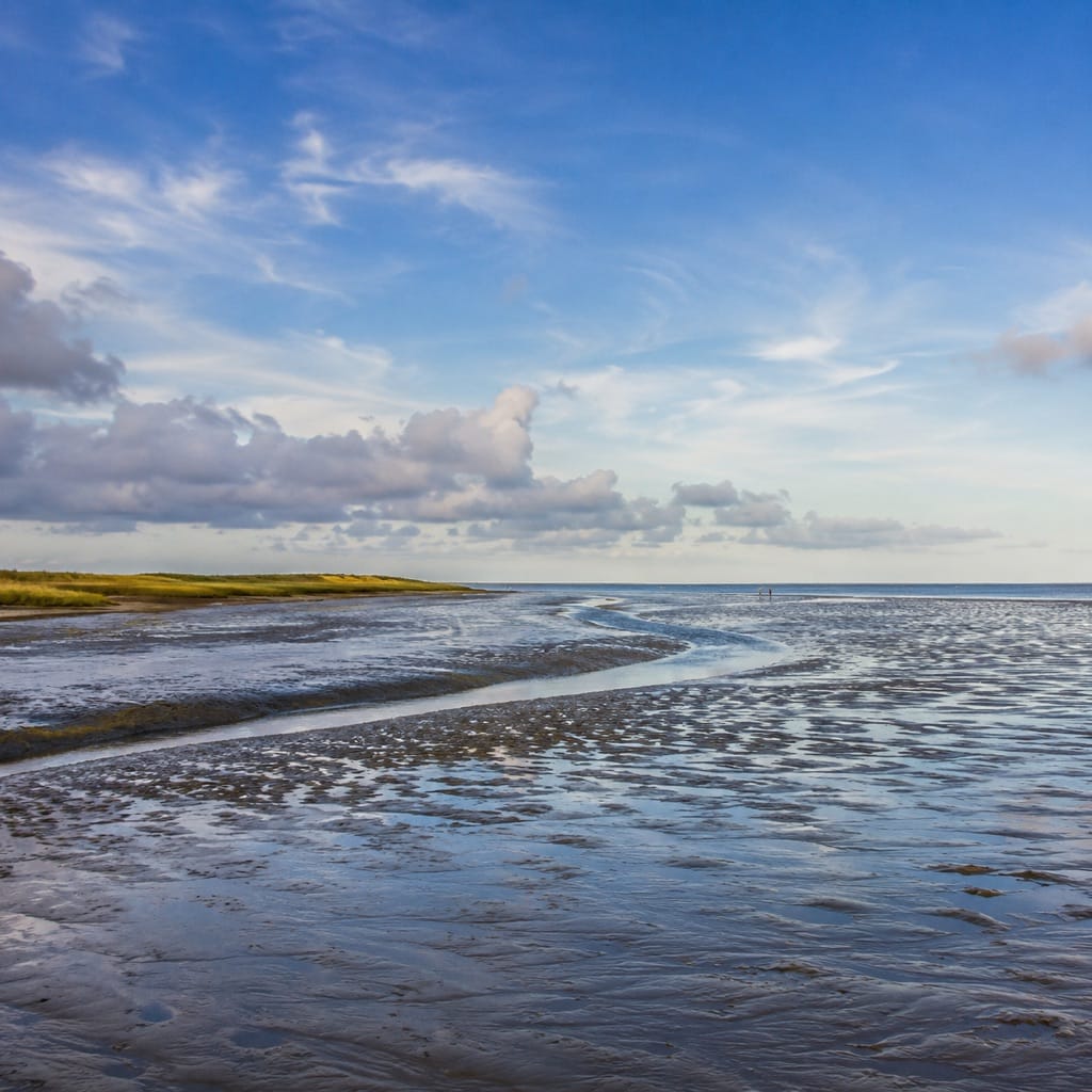 Wadden Sea