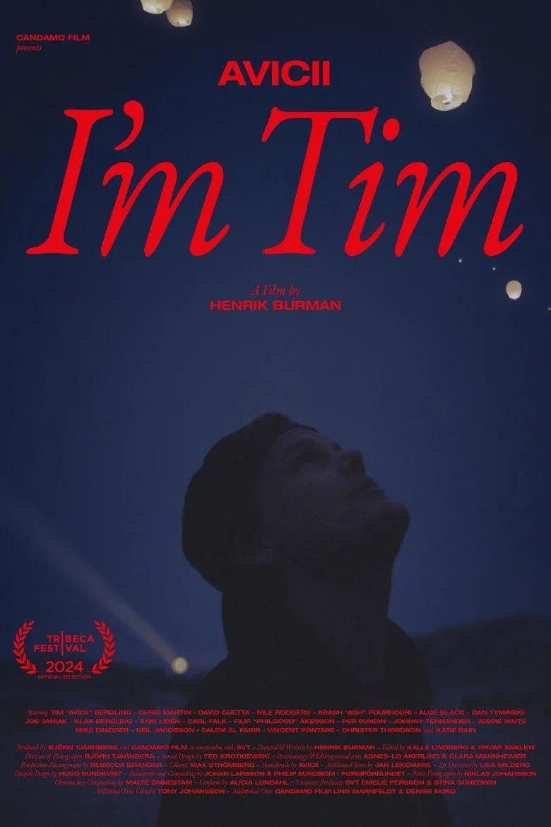 Avicii - I'm Tim - Ranking #2 Recommendation