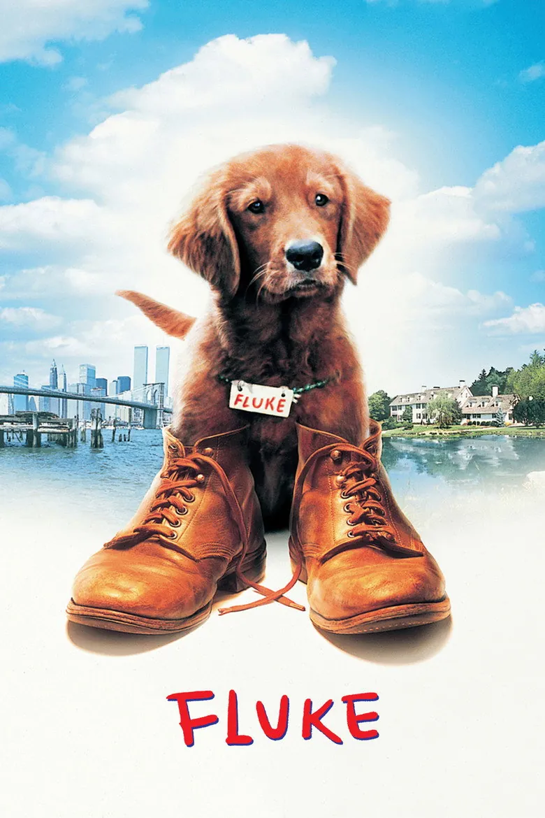 Fluke - Ranking #7 Recommendation