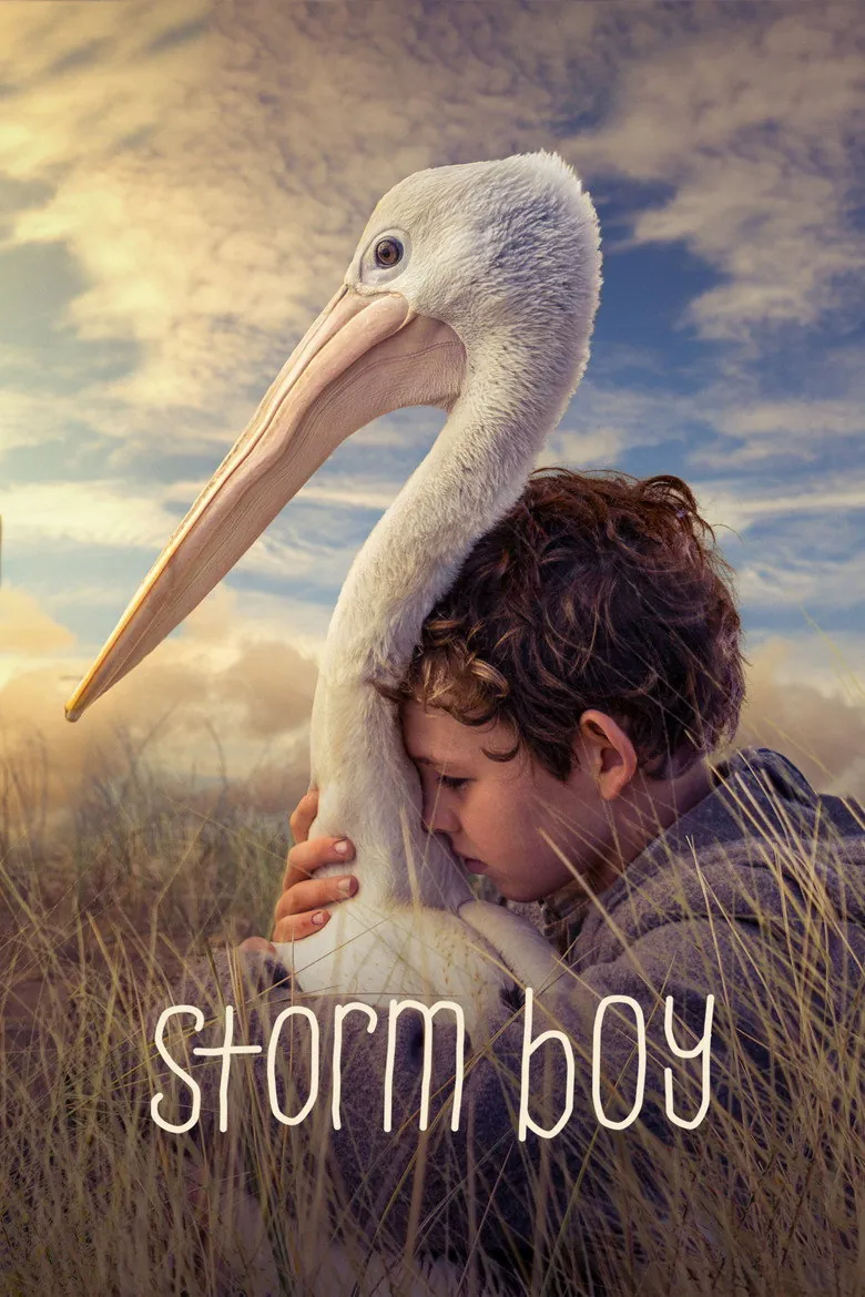 Storm Boy - Ranking #3 Recommendation