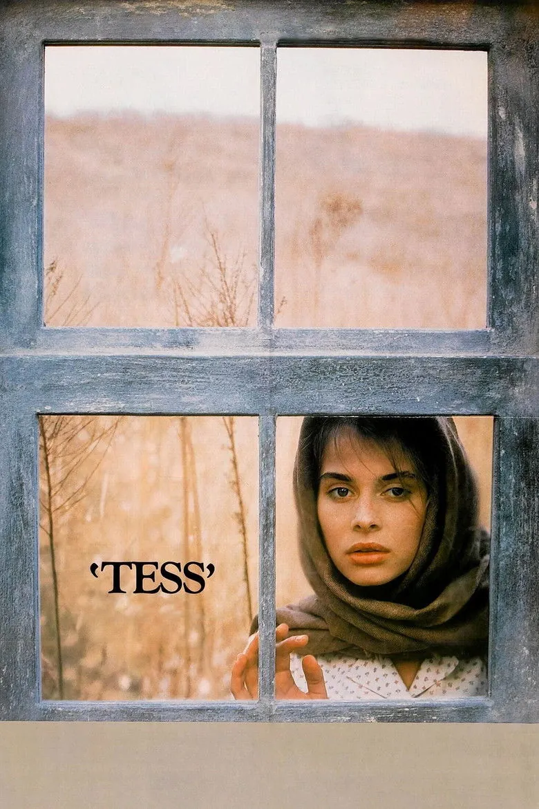 Tess - Ranking #5 Recommendation