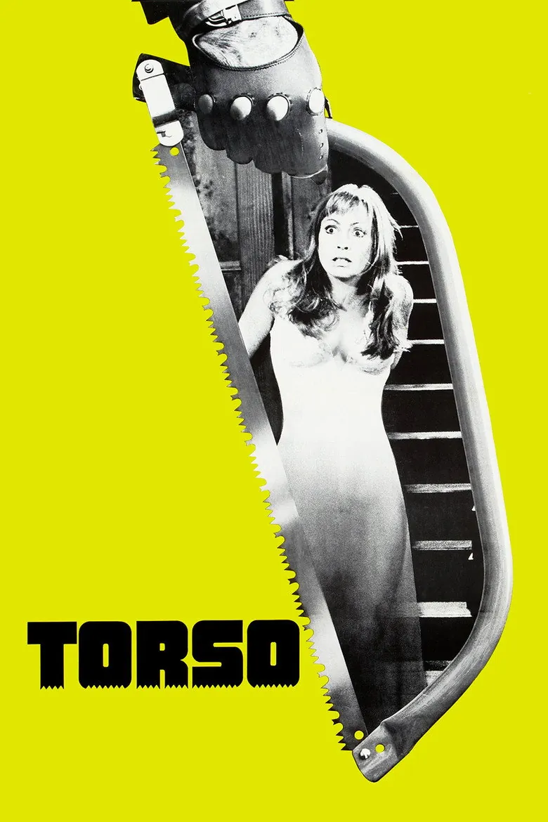 Torso - Ranking #6 Recommendation