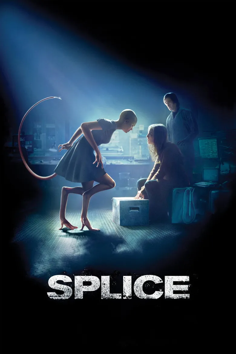 Splice - Ranking #5 Recommendation