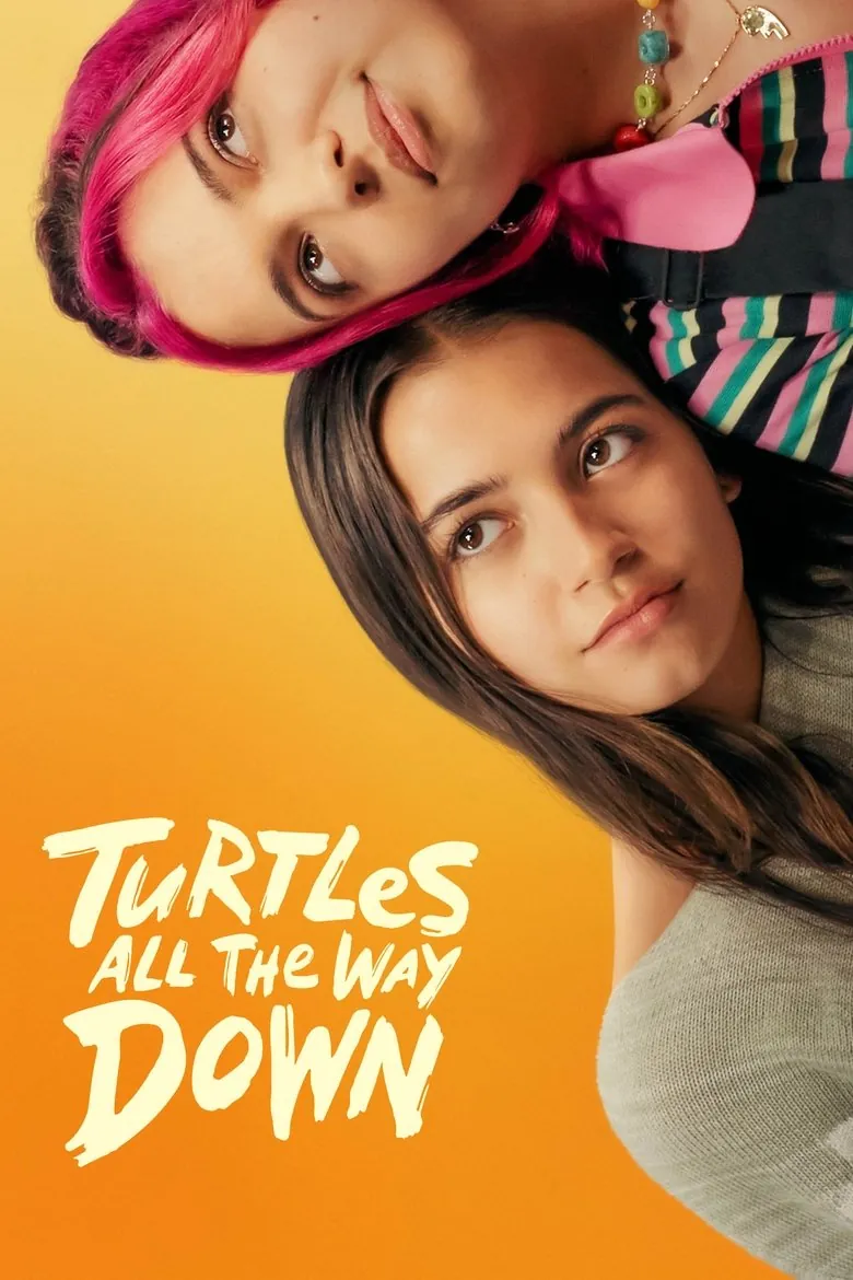Turtles All the Way Down - Ranking #6 Recommendation