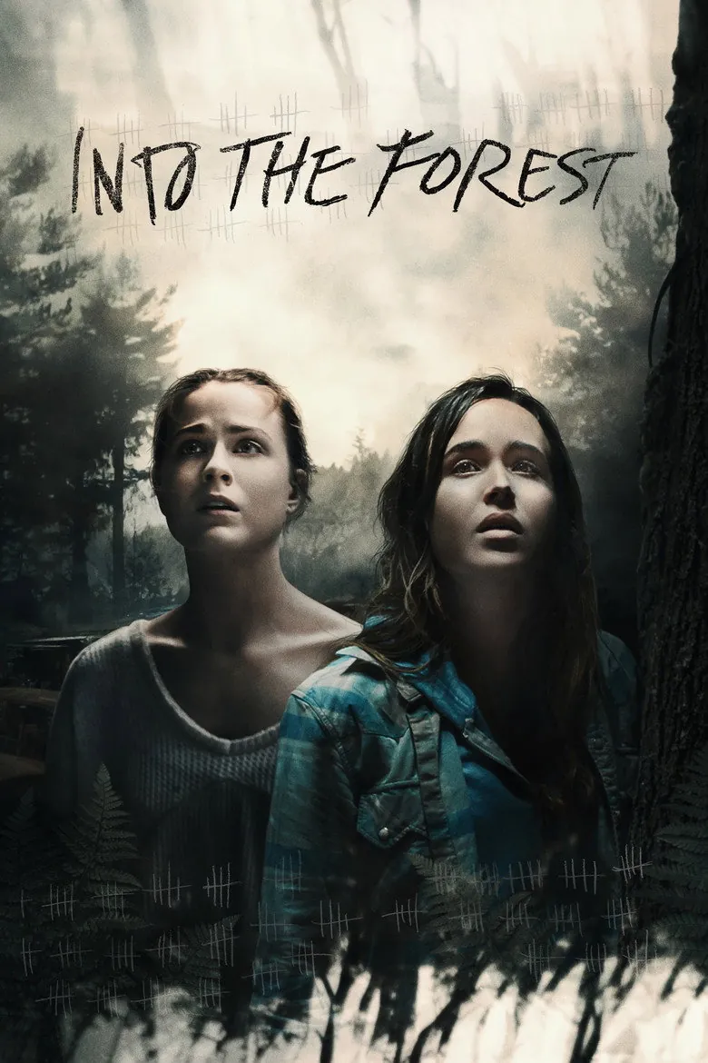 Into the Forest - Ranking #6 Recommendation