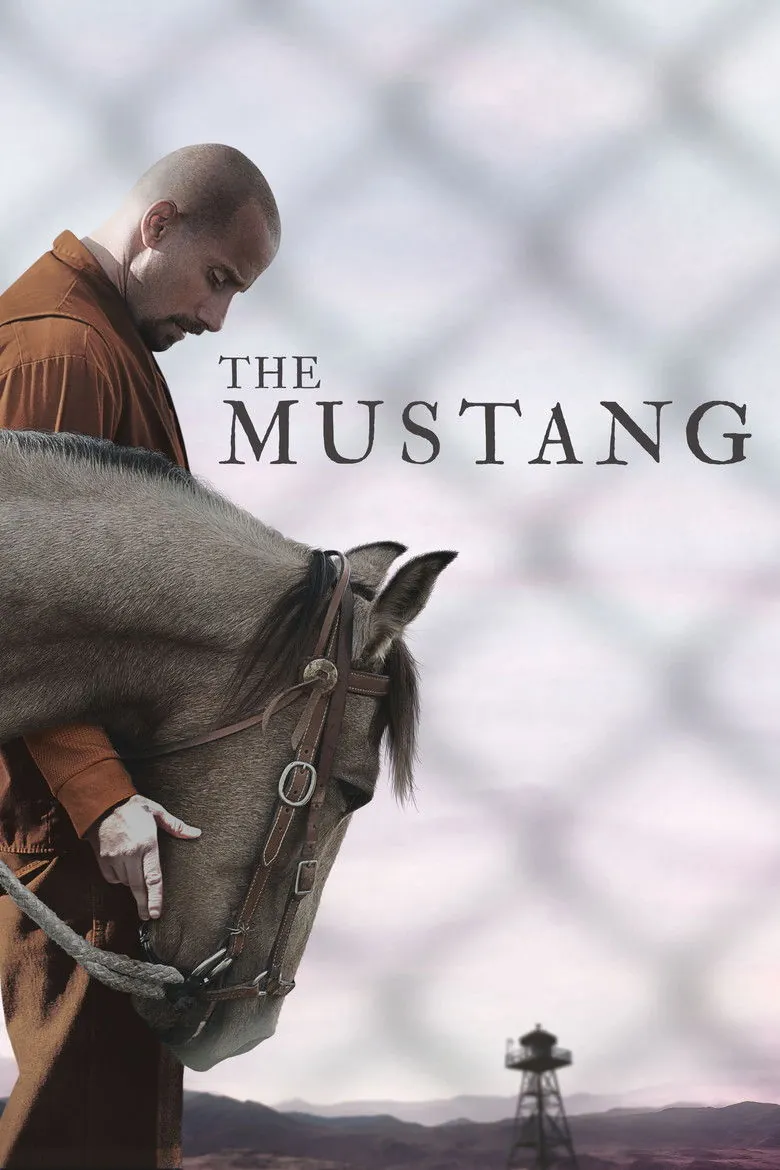 The Mustang - Ranking #6 Recommendation