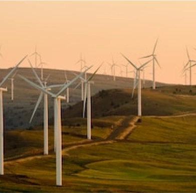 Energy & Utilities