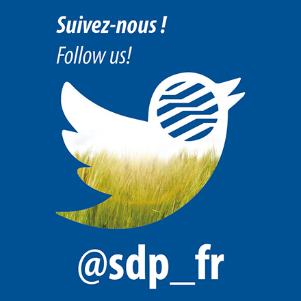 SDP sur Twitter