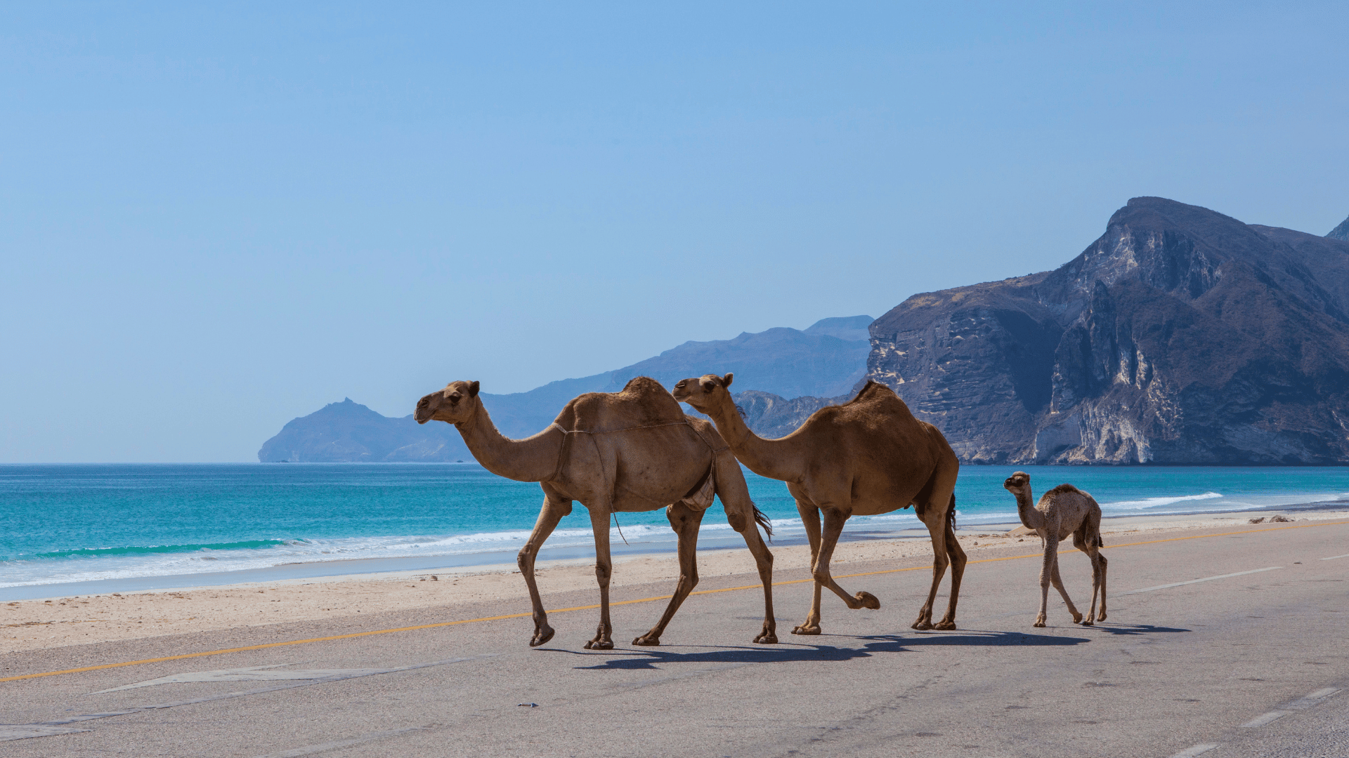 Oman