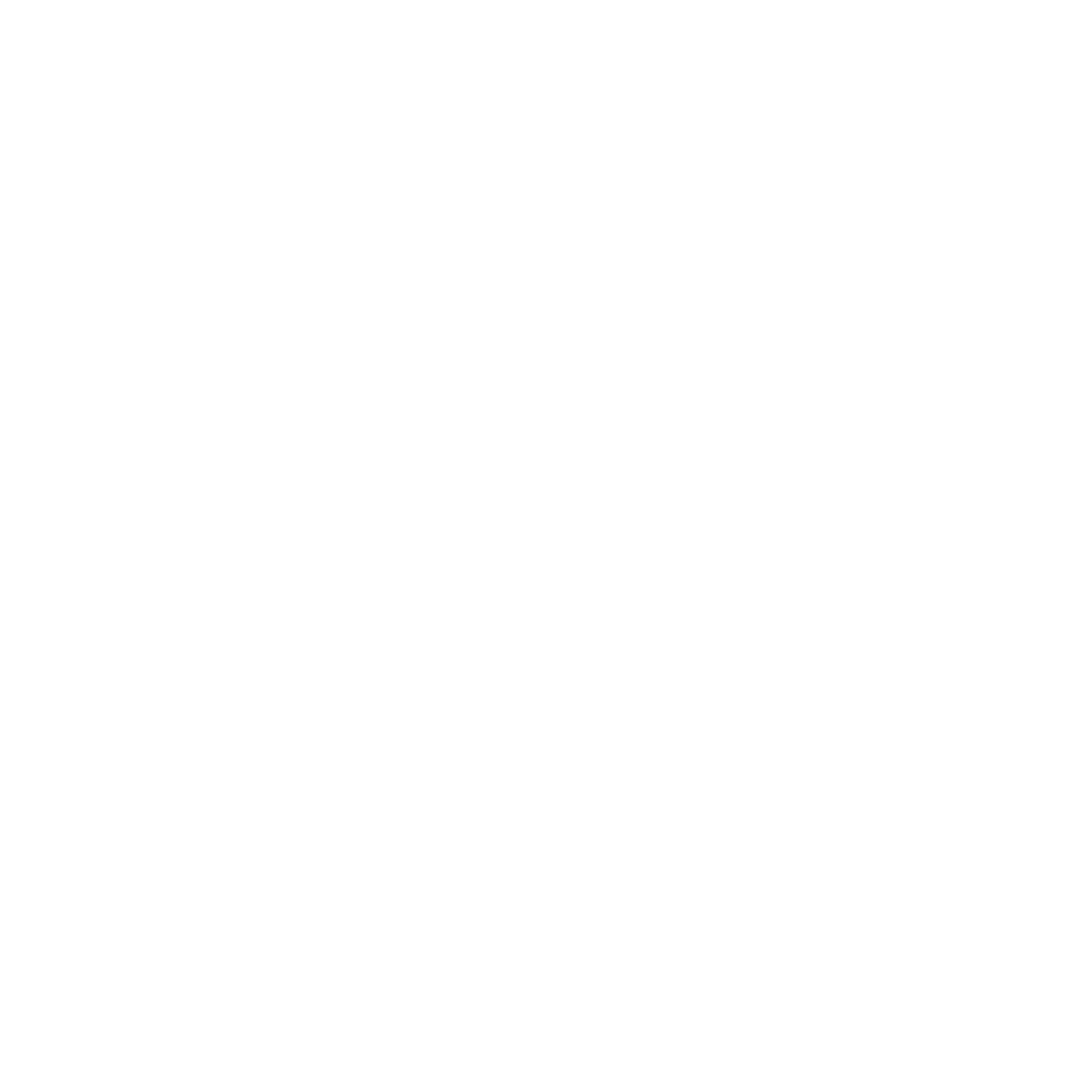 The Assessment