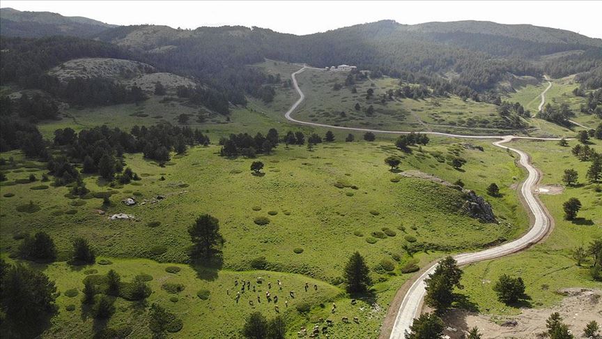 Dumanlı Yaylası Kamp ve Doğa Rehberi