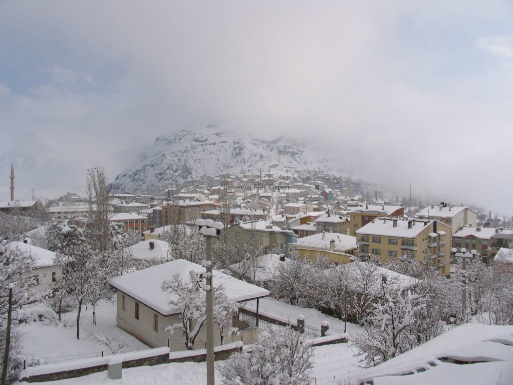 Şebinkarahisar’ın İklimi: Yazlar Sıcak, Kışlar Karlı