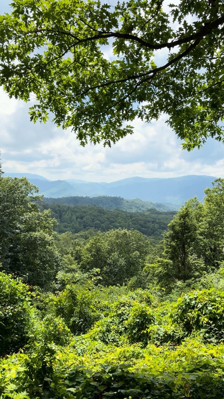Forested Ridges, Great Smoky Mountains National Park — Sevier County, United States